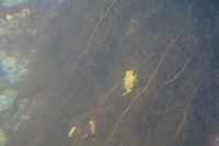 
DSC00090